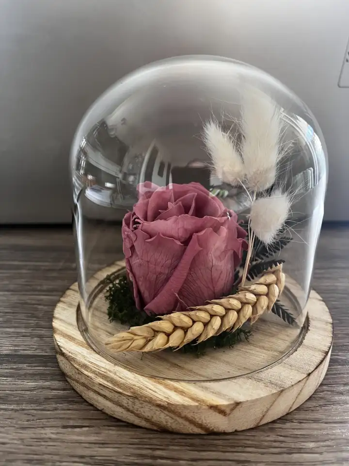 petite cloche de verre
